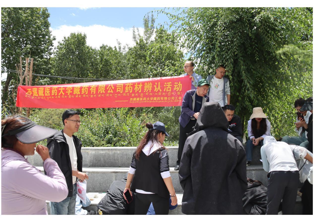 66ced15c3cced.png 認藥大賽.png